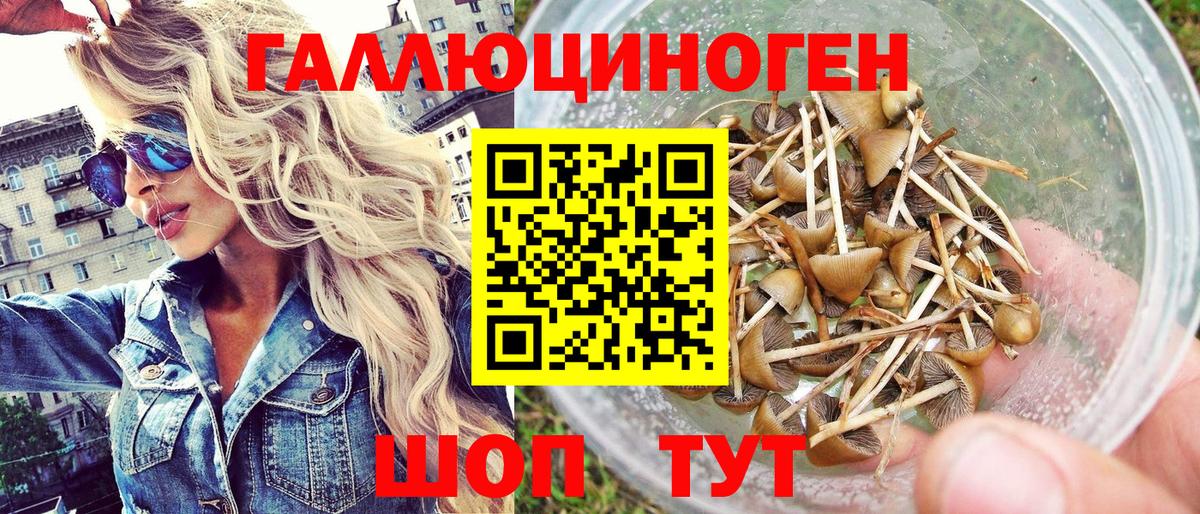Псилоцибиновые грибы мухоморы  Вход с VPN  Верхняя Пышма 