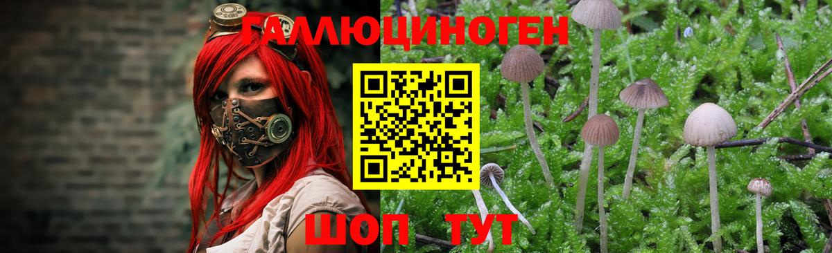 Где купить  MDMA  ГАШИШ  COCAIN  Alpha-PVP СОЛЬ   Вход с VPN  ГАШИШ  Меф  Верхняя Пышма  Мефедрон кристаллы 