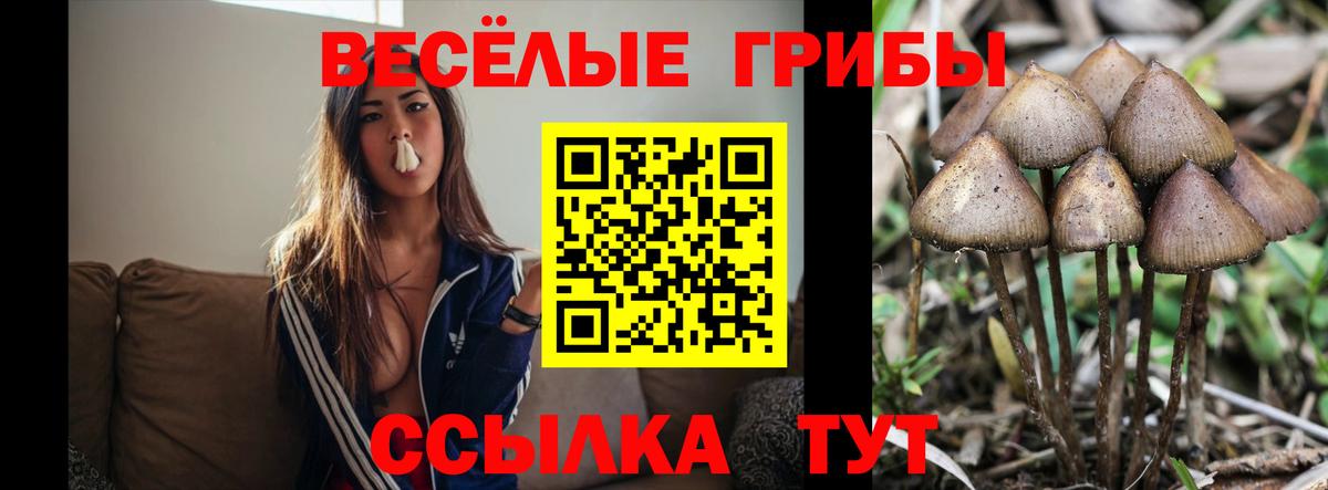 Псилоцибиновые грибы Magic Shrooms Верхняя Пышма